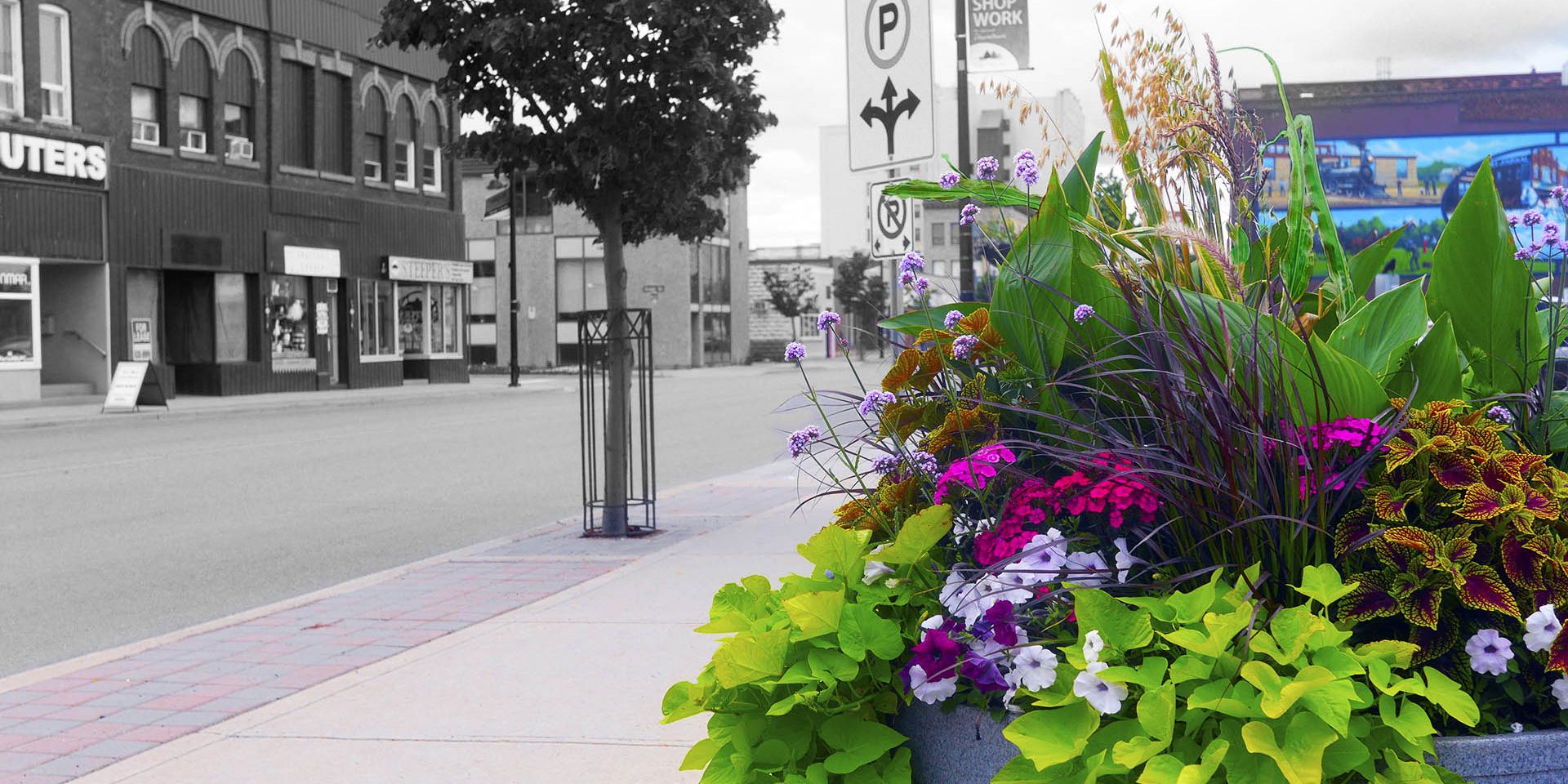 fort-william-business-district-thunder-bay-multee-media Fort William Business District